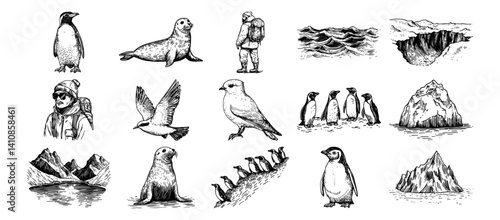 polar animals and arctic landscape with penguins, seals, icebergs and explorers vector hand drawn doodle ink sketch