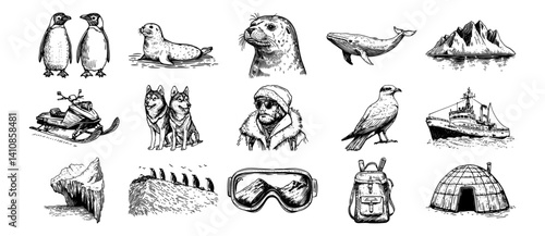 arctic and antarctic exploration with animals, gear, icebergs, igloo and sled dogs vector hand drawn doodle ink sketch