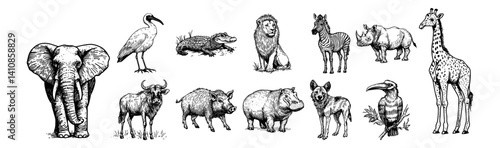 african animals including elephant, lion, giraffe, hippo, zebra and buffalo vector hand drawn doodle ink sketch