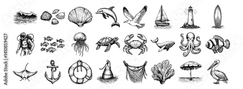 beach and sea life illustrations with dolphin, shell, jellyfish, surfboard, crab and pelican vector hand drawn doodle ink sketch