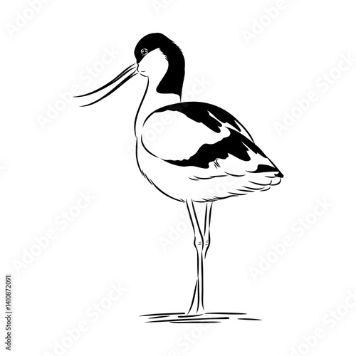 sandpiper on the beach vector illustration