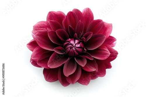A white bowl filled with dark red soy sauce, exuding rich Asian flavors, isolated on a white background for a culinary product shot