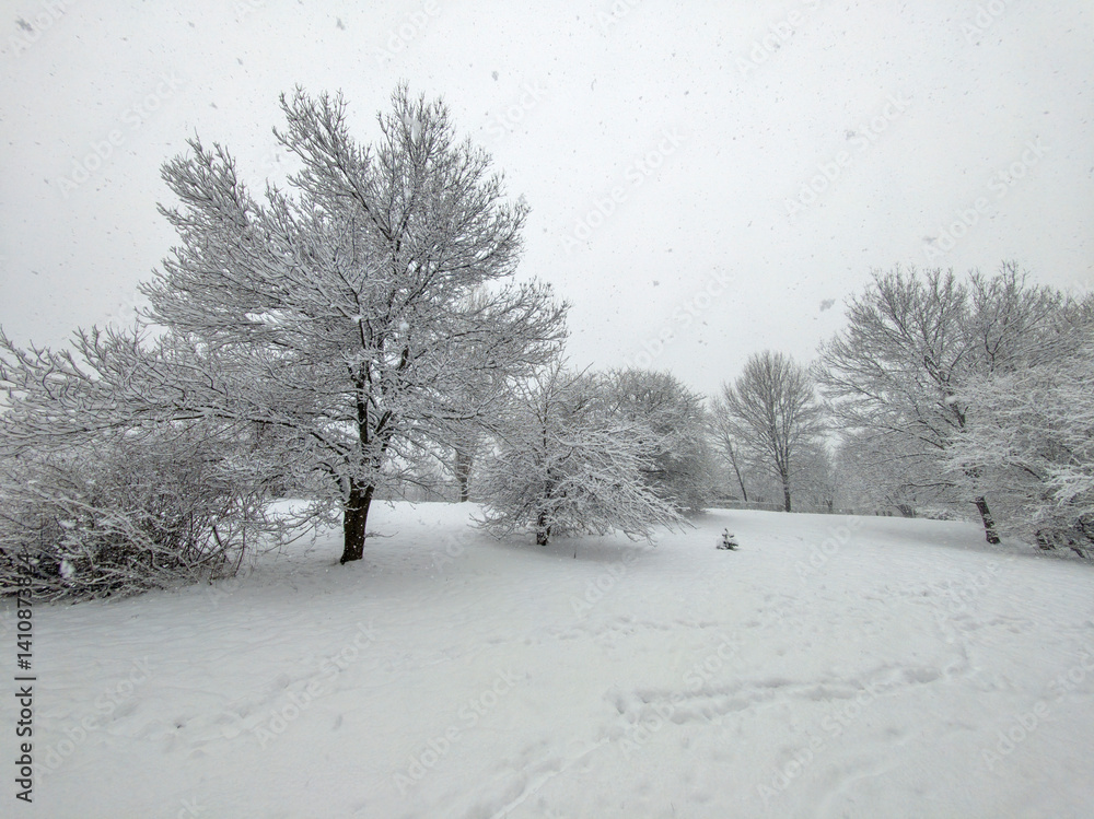Winter Landscape of South Park in city of Sofia, Bulgaria