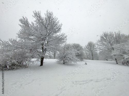 Obraz na płótnie Winter Landscape of South Park in city of Sofia, Bulgaria w salonie