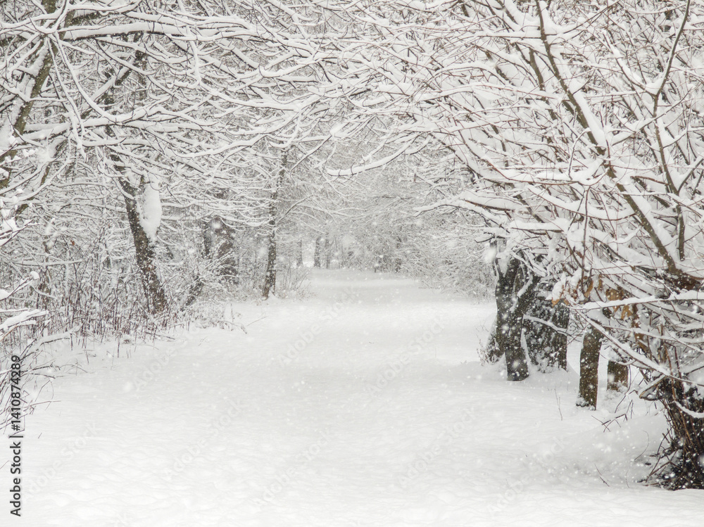 Winter Landscape of South Park in city of Sofia, Bulgaria