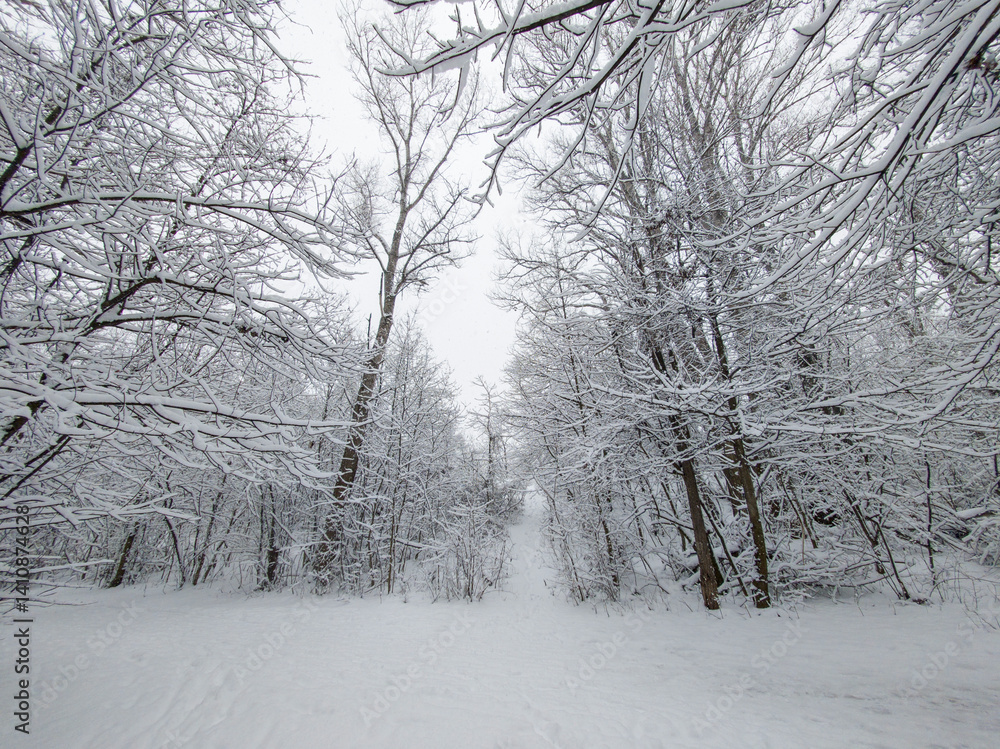 Winter Landscape of South Park in city of Sofia, Bulgaria