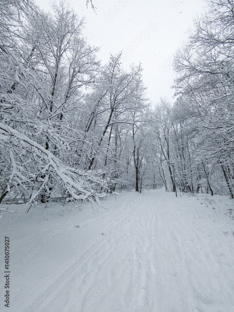 Winter Landscape of South Park in city of Sofia, Bulgaria
