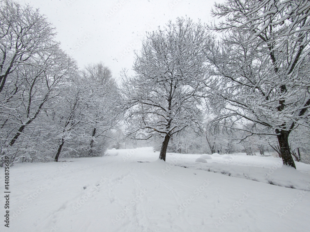 Obraz premium Winter Landscape of South Park in city of Sofia, Bulgaria