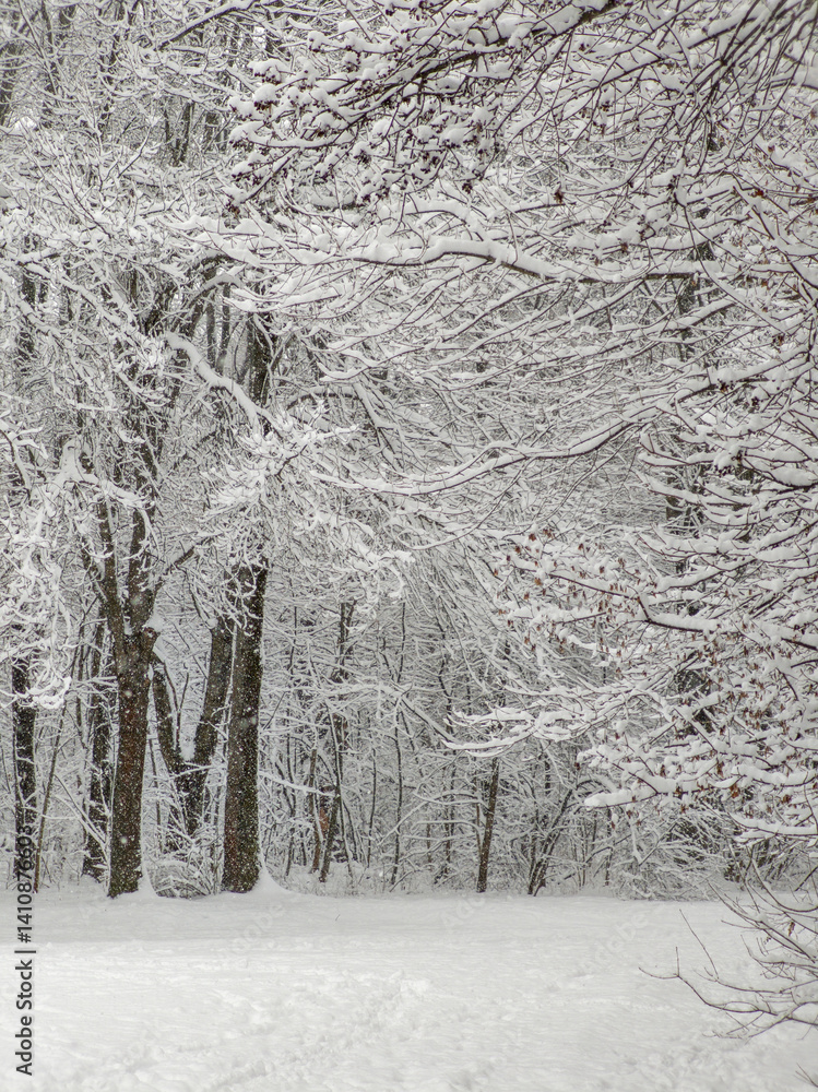 Winter Landscape of South Park in city of Sofia, Bulgaria