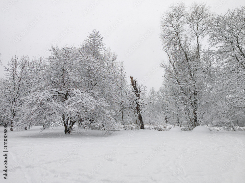 Winter Landscape of South Park in city of Sofia, Bulgaria
