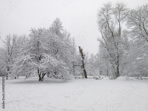 Obraz na płótnie Winter Landscape of South Park in city of Sofia, Bulgaria w salonie