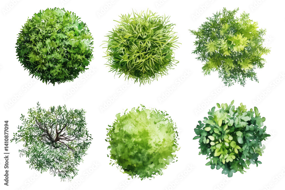 Fototapeta premium Overhead View of Lush Green Shrubs Isolated on Transparent Background