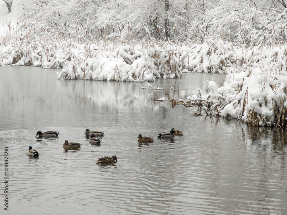 Winter Landscape of South Park in city of Sofia, Bulgaria