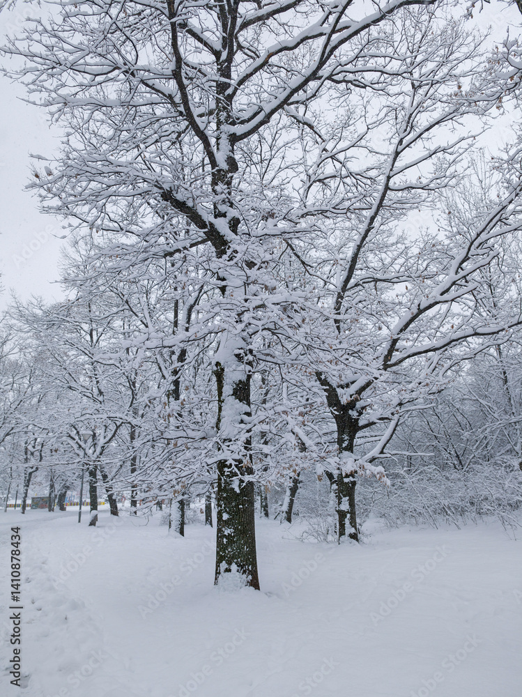 Winter Landscape of South Park in city of Sofia, Bulgaria