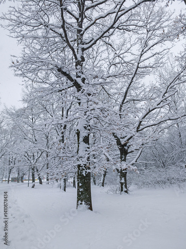 Obraz na płótnie Winter Landscape of South Park in city of Sofia, Bulgaria w salonie