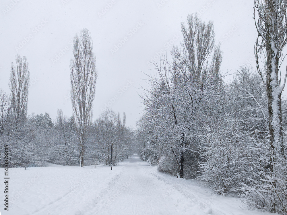 Winter Landscape of South Park in city of Sofia, Bulgaria