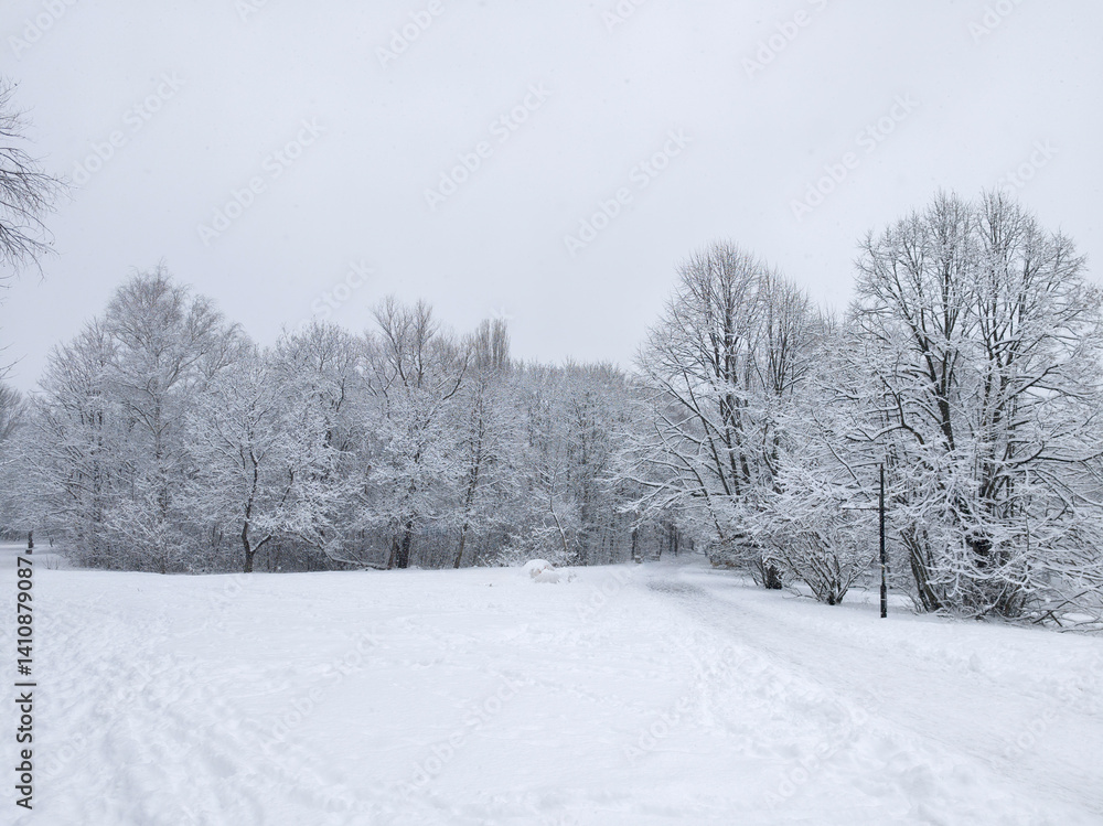 Winter Landscape of South Park in city of Sofia, Bulgaria