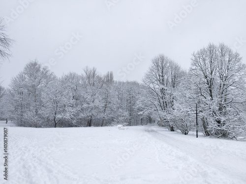 Obraz na płótnie Winter Landscape of South Park in city of Sofia, Bulgaria w salonie