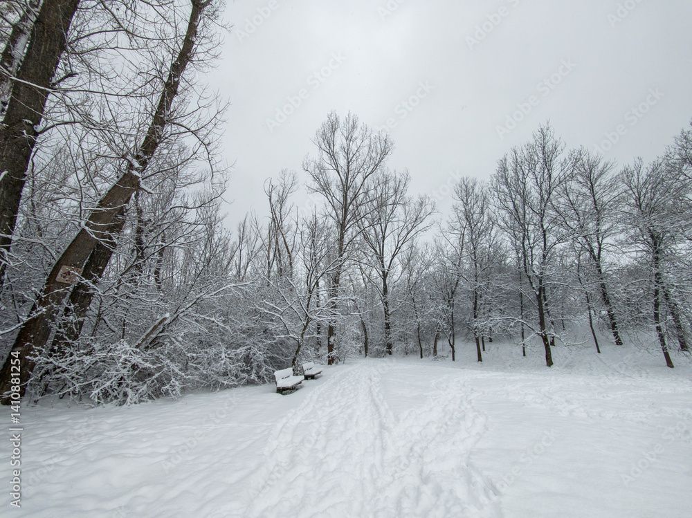 Winter Landscape of South Park in city of Sofia, Bulgaria