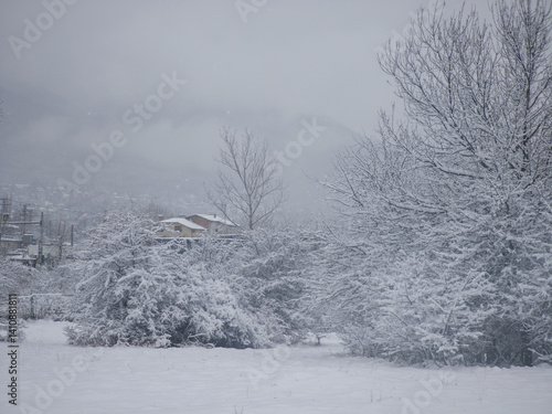 Obraz na płótnie Winter Landscape of South Park in city of Sofia, Bulgaria w salonie
