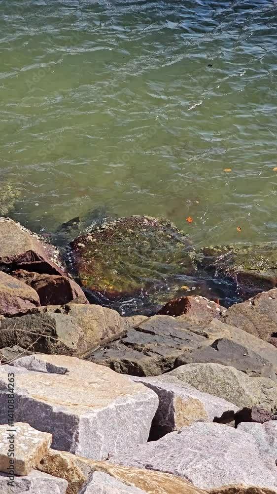 A view of the ocean water lapping against a rocky shoreline on a bright and sunny day outside near sea A view of the ocean water lapping against a rocky shoreline on a bright and sunny day outside near sea