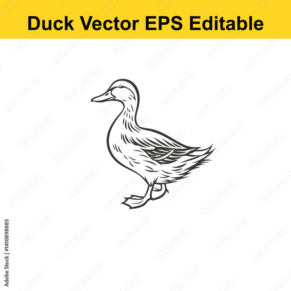 Duck Vector drawing sketch silhouette Duck Vector drawing sketch silhouette