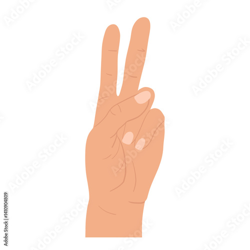 Human positive hands and fingers gesture peace 