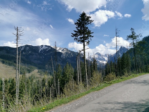 Curving road runs through tall pine forest with distant view of snow-covered Tatra Mountains and dramatic clouds under a bright blue sky