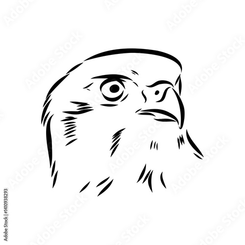 Brown hawk vector sketch Vintage eagle, great design for any purposes.