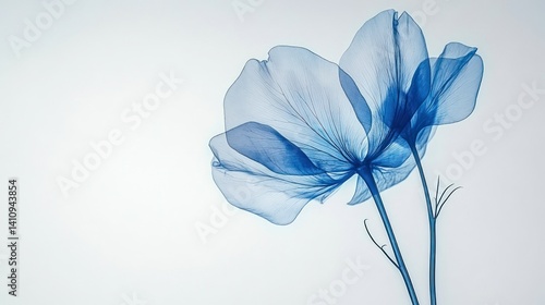Ethereal blue flower, translucent petals, elegant stem, soft light