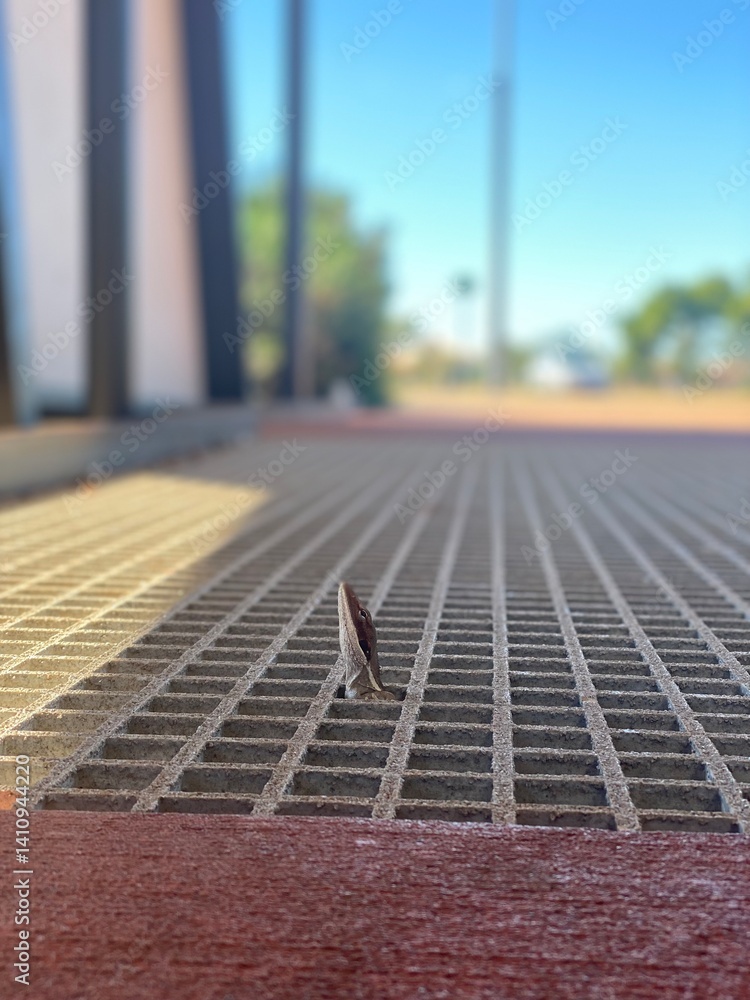 Fototapeta premium running track in stadium