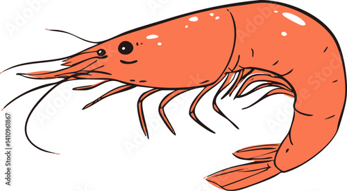 Cartoon orange shrimp with detailed lines against a white background. Vector illustration
