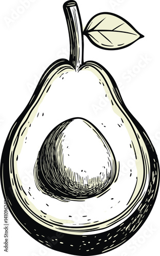Detailed drawing of a halved avocado with seed and leaf, digital sketch art. Vector illustration