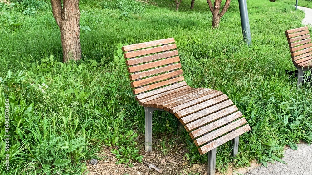 Wooden park bench amid lush greenery, serene relaxation spot in nature, perfect for Earth Day, outdoor leisure theme Wooden park bench amid lush greenery, serene relaxation spot in nature, perfect for Earth Day, outdoor leisure theme