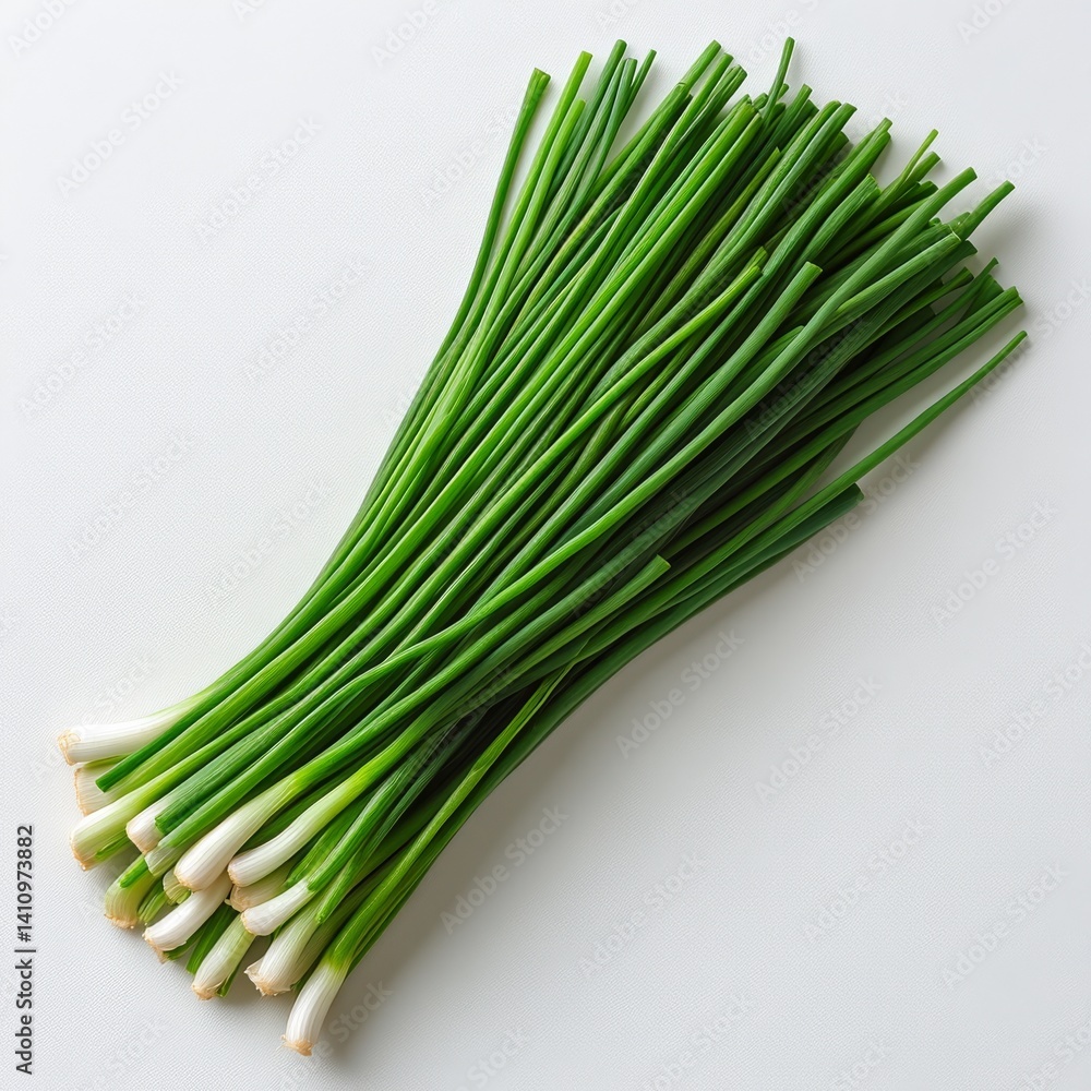 elegant bundle of fresh chives thin delicate stalks crisp fine details vibrant green color soft diffused light isolated on white elegant bundle of fresh chives thin delicate stalks crisp fine details vibrant green color soft diffused light isolated on white