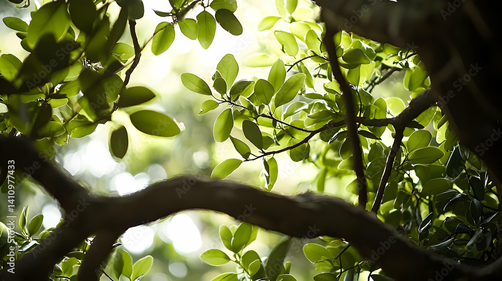 Fototapeta premium Sunlight Filtering Through Lush Green Leaves