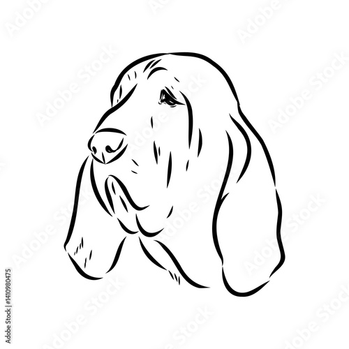 Decorative portrait in profile of dog Bloodhound