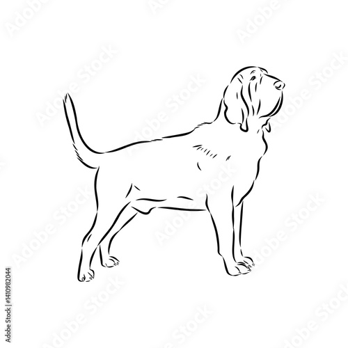 Decorative portrait in profile of dog Bloodhound