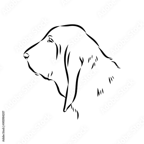 Decorative portrait in profile of dog Bloodhound