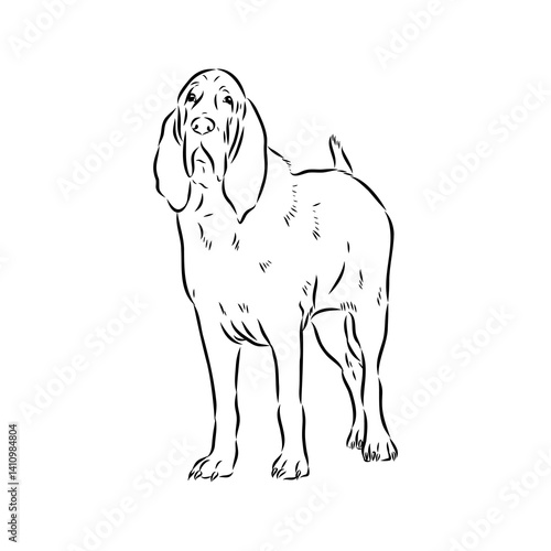 Decorative portrait in profile of dog Bloodhound