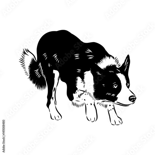 Border Collie Dog Vector isolated on white background, Dog Silhouettes.