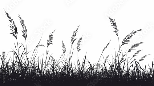 Black and White Pampas Grass Silhouette in Tranquil Rural Countryside Landscape Abstract Monochrome Nature Art