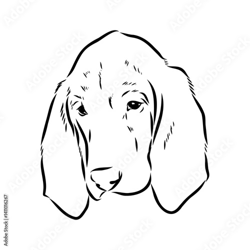 Decorative portrait in profile of dog Bloodhound