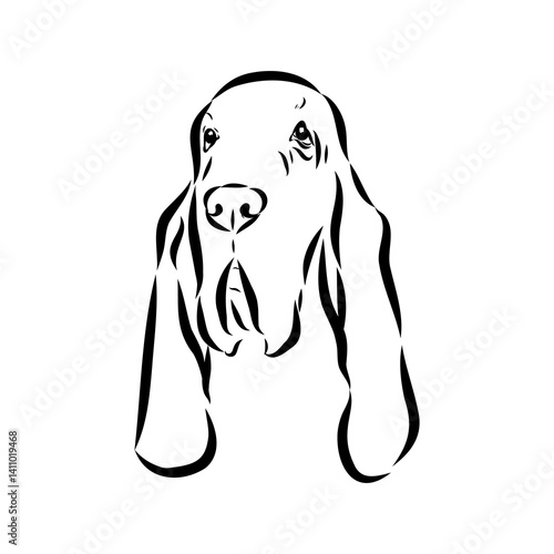 Decorative portrait in profile of dog Bloodhound