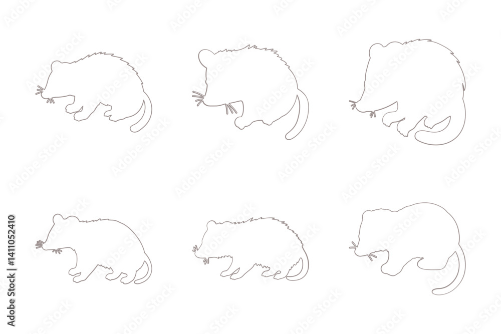Fototapeta premium Opossum Outline Icon Set. Animal Illustration Design