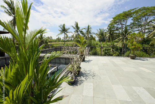 Fototapeta Naklejka Na Ścianę i Meble -  palm trees on a tropical beach