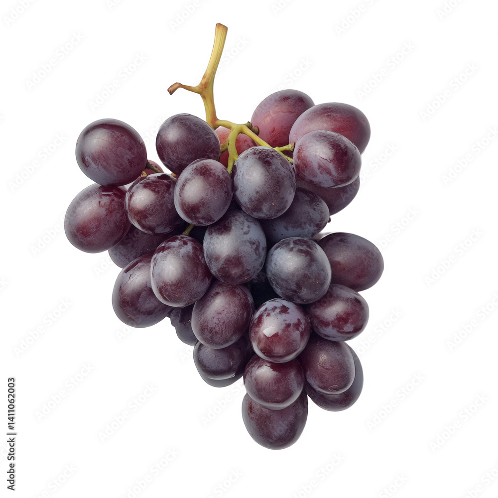 Fresh black grapes hanging on a vine with ripe clusters showcasing their deep purple hue and natural shine, a perfect addition to any healthy diet or fruit platter Fresh black grapes hanging on a vine with ripe clusters showcasing their deep purple hue and natural shine, a perfect addition to any healthy diet or fruit platter