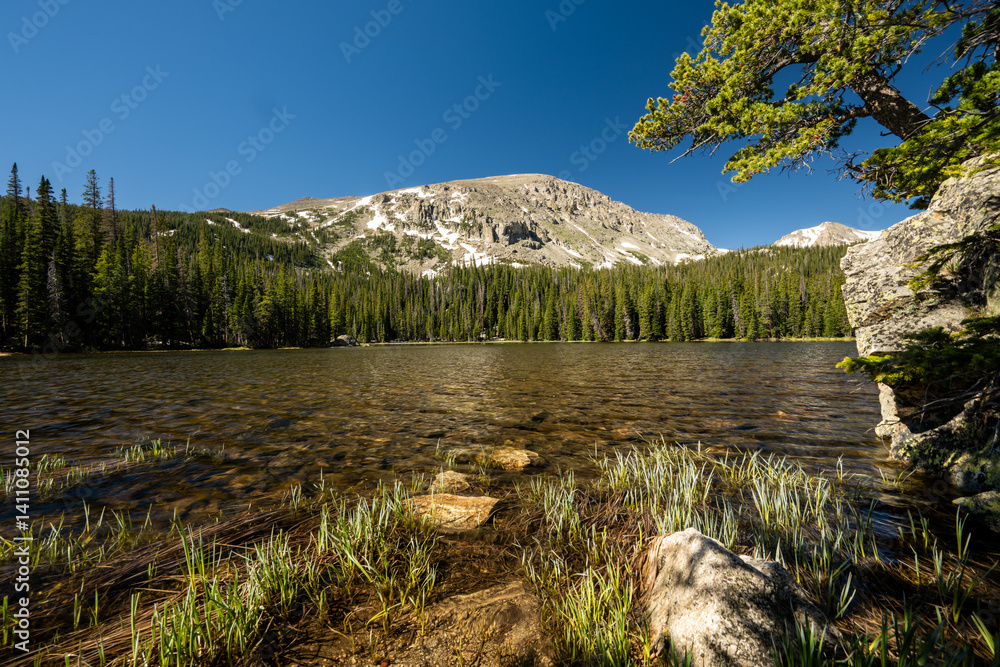 Tall Grasses Fade Into Ouzel Lake In Summer