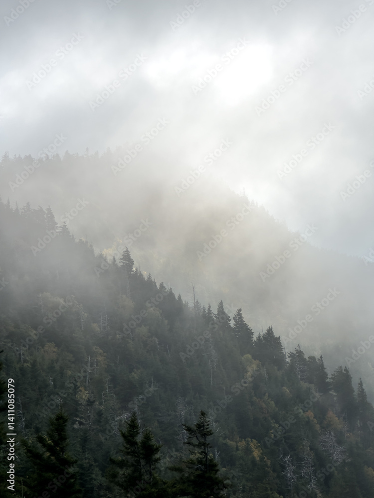 Thick Fog Distinguishes Layers Of Mountains In Great Smoky Mountains