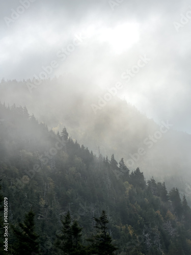 Thick Fog Distinguishes Layers Of Mountains In Great Smoky Mountains